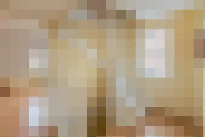 Grutto 45 Wijhe thumbnail 24