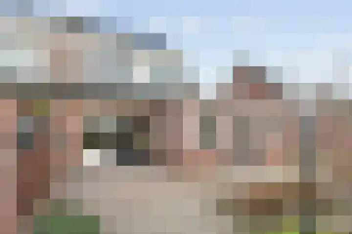 Grutto 45 Wijhe thumbnail 27