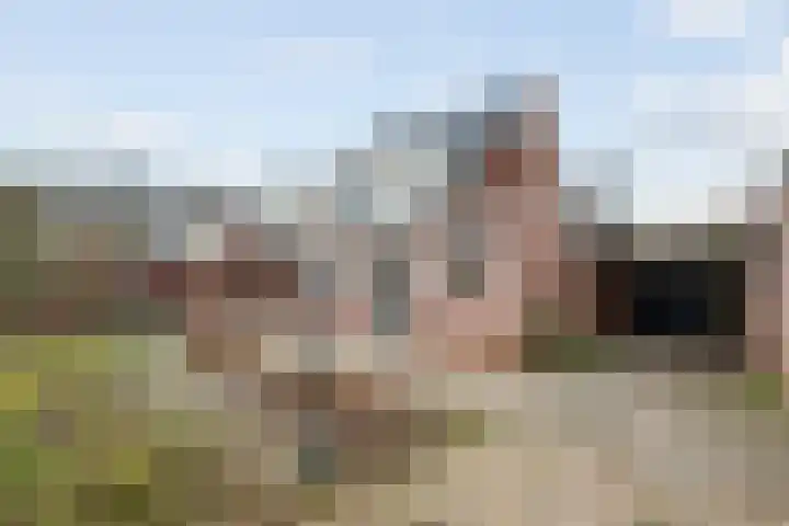 Grutto 45 Wijhe thumbnail 28