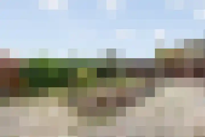 Grutto 45 Wijhe thumbnail 29