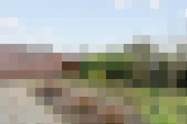 Grutto 45 Wijhe thumbnail 30