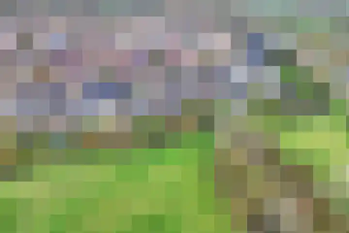 Grutto 45 Wijhe thumbnail 31