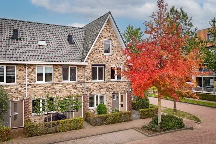 Grutto 47 in Meerkerk Foto