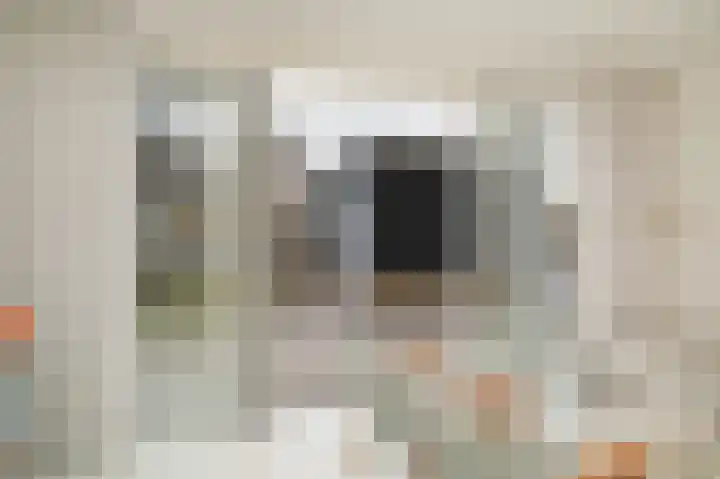 Grutto 47 Meerkerk thumbnail 12