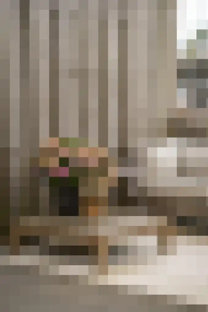 Grutto 47 Meerkerk thumbnail 43