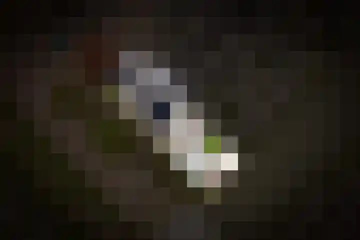 Grutto 47 Meerkerk thumbnail 58