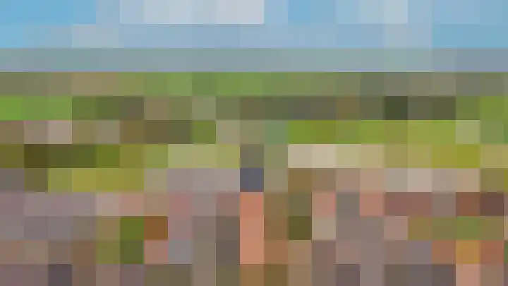 Grutto 47 Meerkerk thumbnail 59