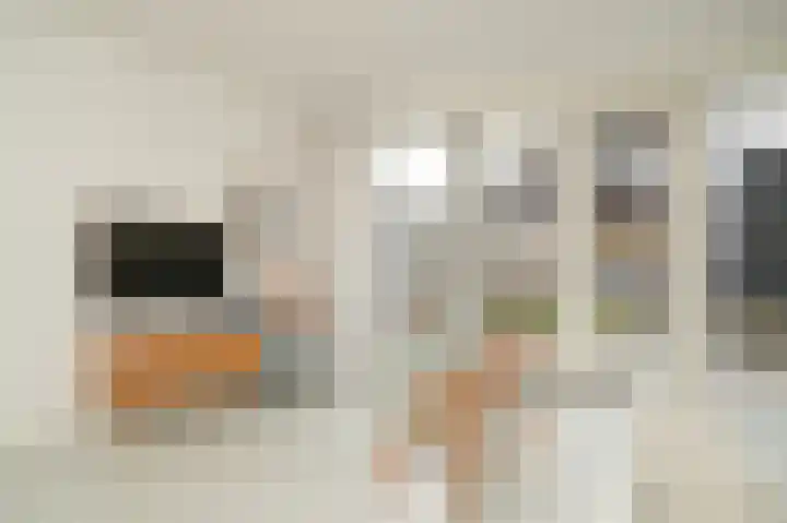 Grutto 47 Meerkerk thumbnail 9