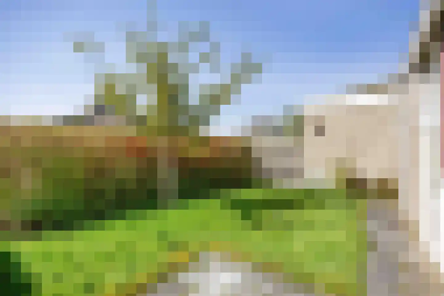 Grutto 5 Grijpskerk thumbnail 19