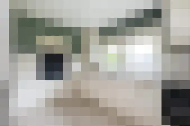 Grutto 5 Sommelsdijk thumbnail 11
