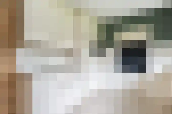 Grutto 5 Sommelsdijk thumbnail 13