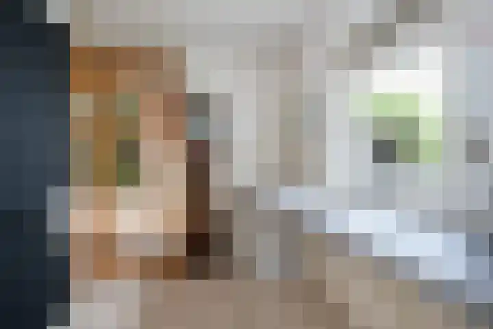 Grutto 5 Sommelsdijk thumbnail 14