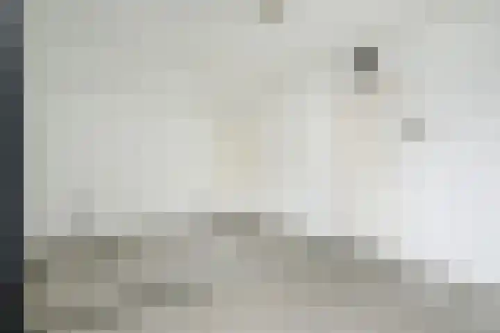Grutto 5 Sommelsdijk thumbnail 23