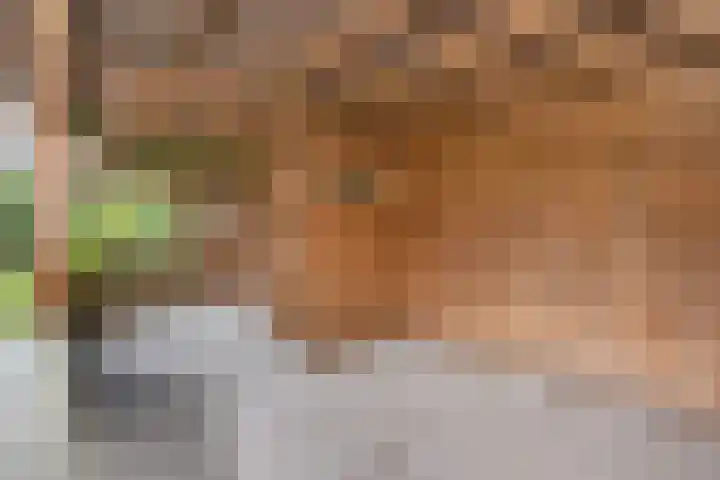 Grutto 5 Sommelsdijk thumbnail 29