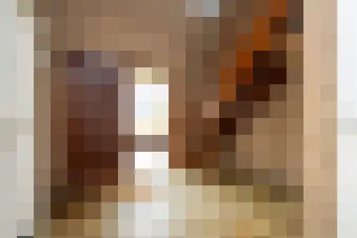 Grutto 5 Sommelsdijk thumbnail 4