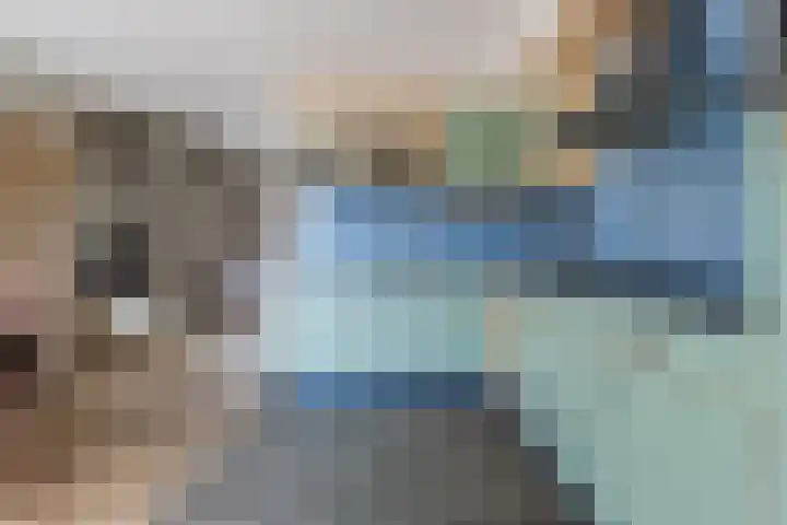 Grutto 5 Ursem thumbnail 13