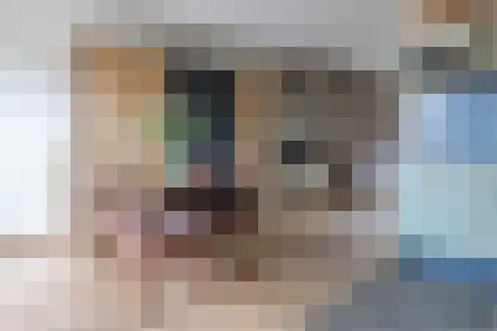 Grutto 5 Ursem thumbnail 14