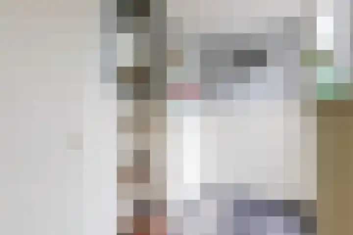 Grutto 5 Ursem thumbnail 18