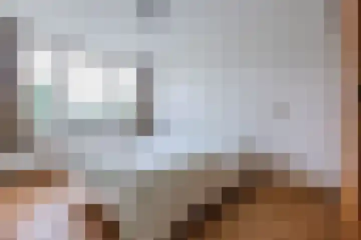 Grutto 5 Ursem thumbnail 20