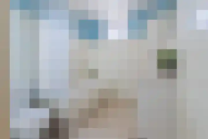 Grutto 5 Ursem thumbnail 27