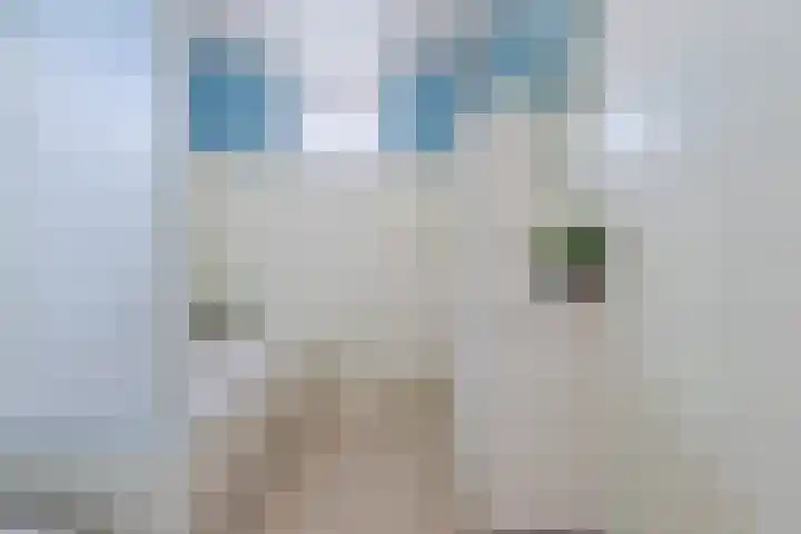 Grutto 5 Ursem thumbnail 28