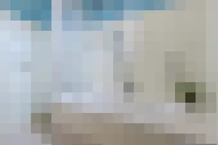 Grutto 5 Ursem thumbnail 29