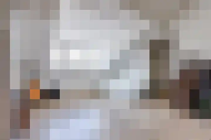 Grutto 5 Ursem thumbnail 32