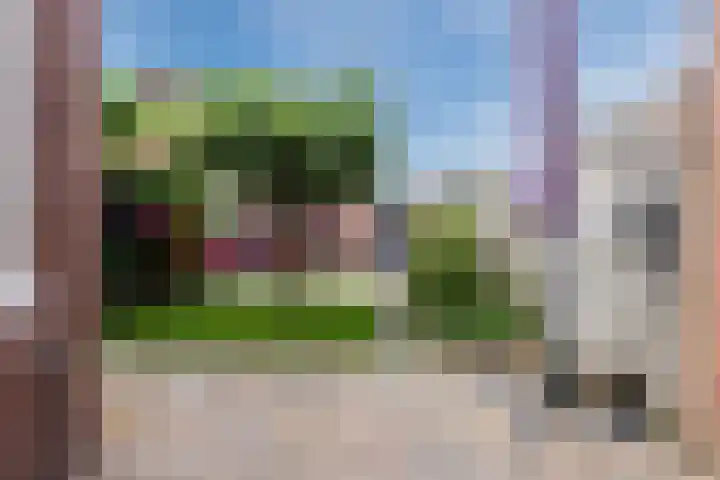 Grutto 5 Ursem thumbnail 34