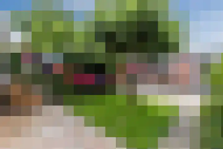 Grutto 5 Ursem thumbnail 35