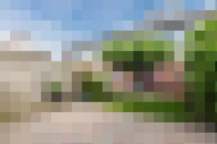 Grutto 5 Ursem thumbnail 39