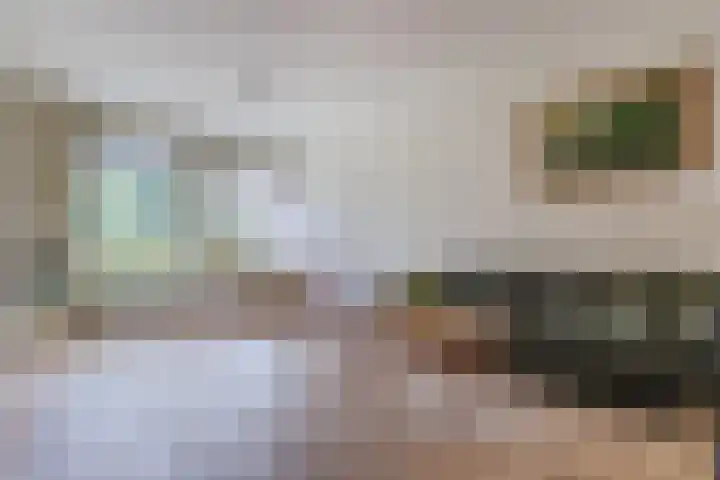 Grutto 5 Ursem thumbnail 4