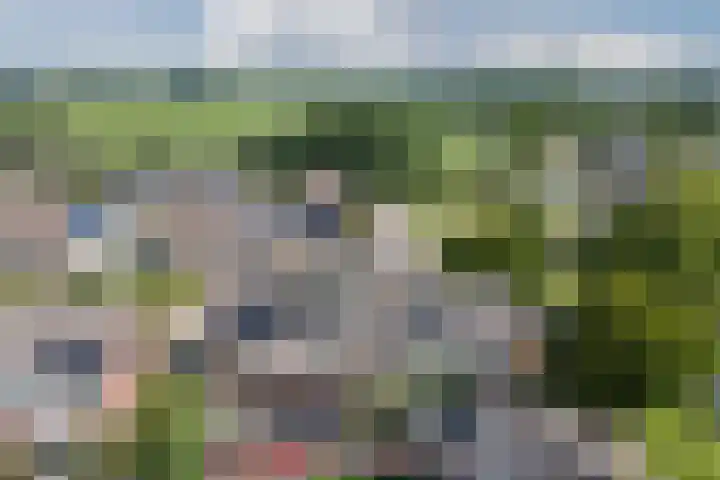 Grutto 5 Ursem thumbnail 43