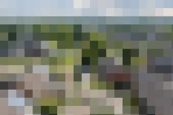 Grutto 5 Ursem thumbnail 44