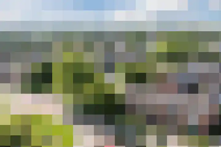 Grutto 5 Ursem thumbnail 45