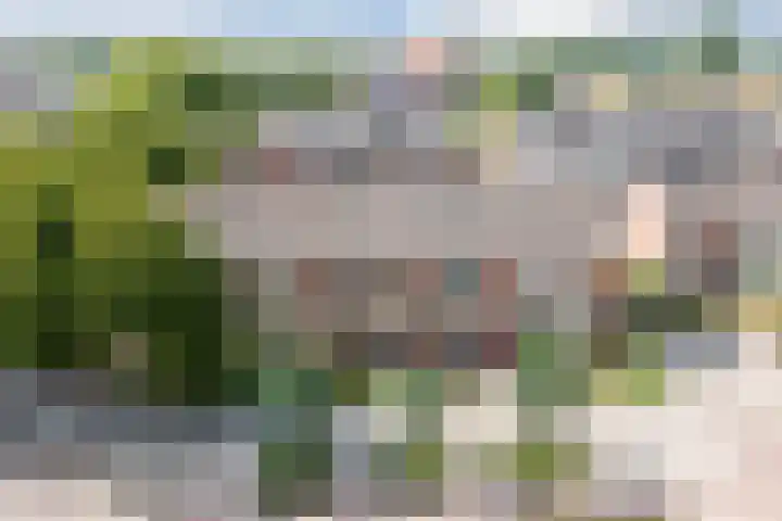 Grutto 5 Ursem thumbnail 46