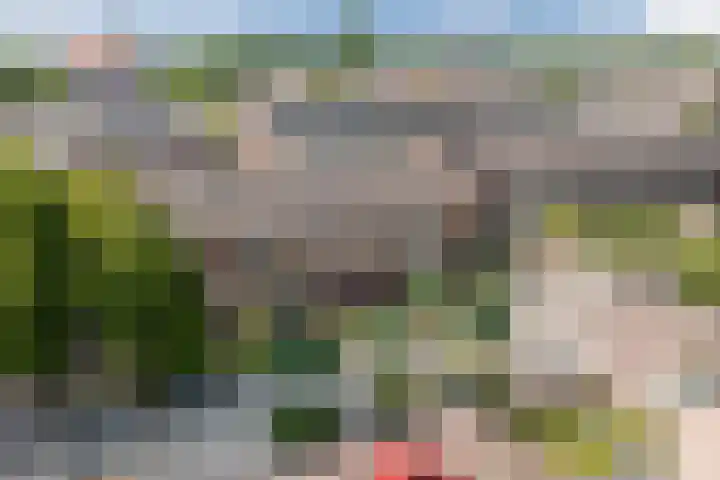 Grutto 5 Ursem thumbnail 47