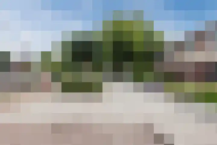 Grutto 5 Ursem thumbnail 53