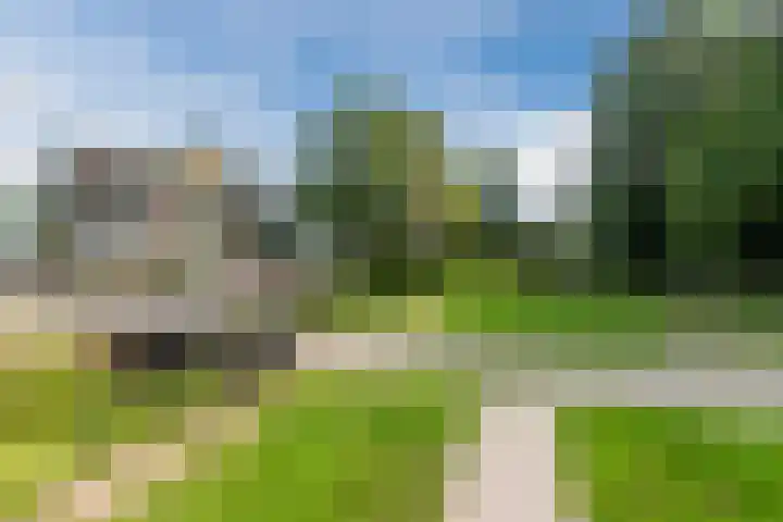 Grutto 5 Ursem thumbnail 54