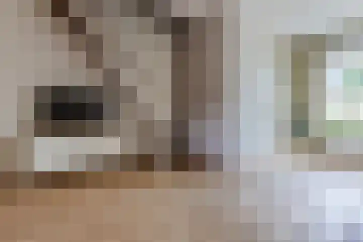 Grutto 5 Ursem thumbnail 7