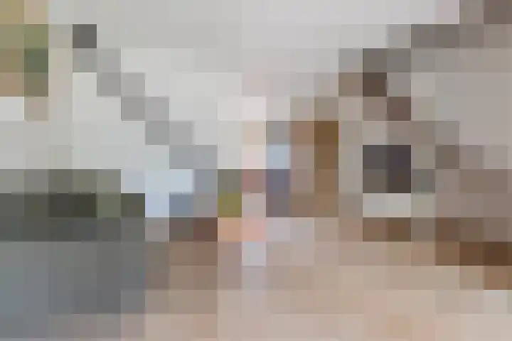 Grutto 5 Ursem thumbnail 8