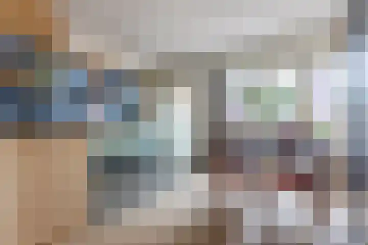 Grutto 5 Ursem thumbnail 9