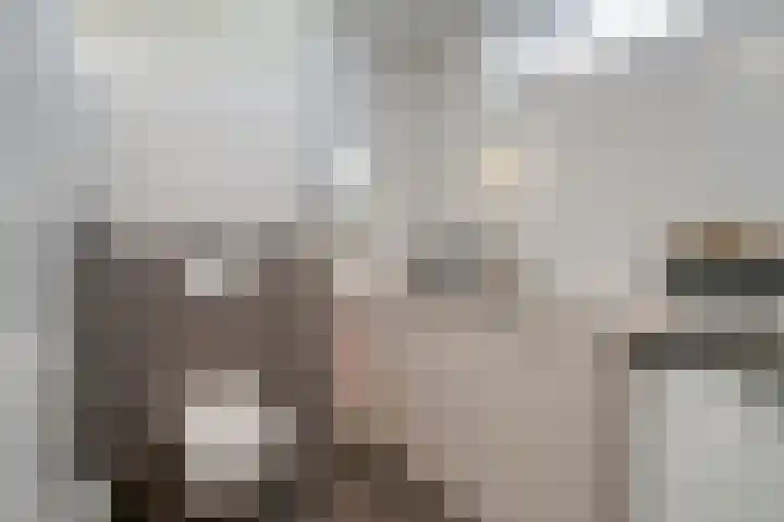 Grutto 5 Venray thumbnail 23