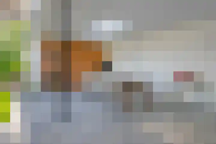 Grutto 5 Venray thumbnail 38
