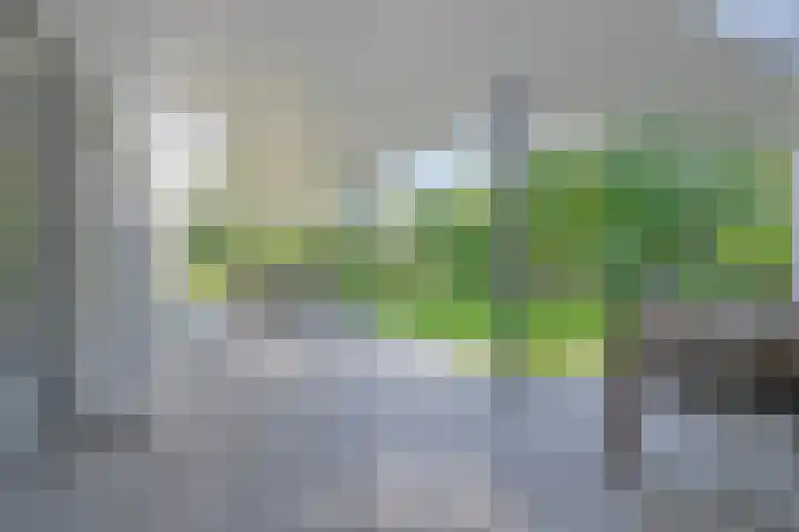Grutto 5 Venray thumbnail 40