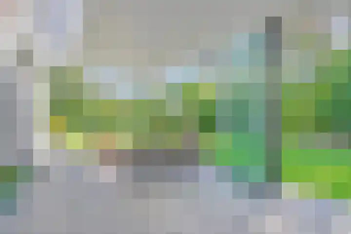Grutto 5 Venray thumbnail 42
