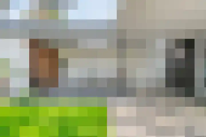 Grutto 5 Venray thumbnail 43