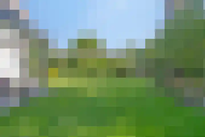 Grutto 5 Venray thumbnail 44