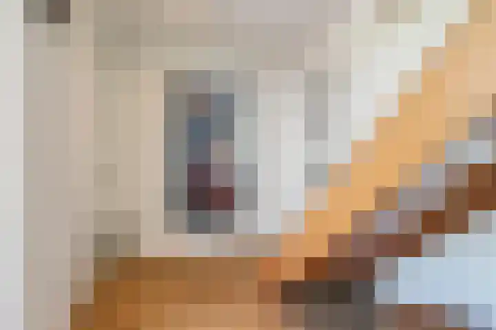 Grutto 5 Venray thumbnail 5