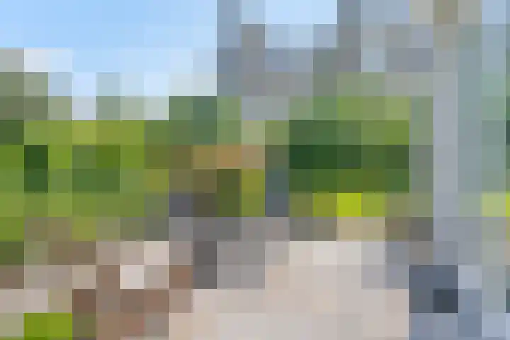Grutto 5 Venray thumbnail 51