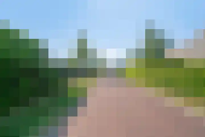 Grutto 5 Venray thumbnail 54